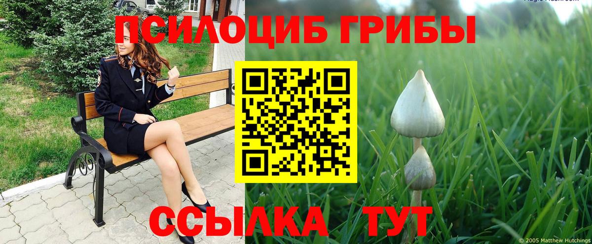 Истра  Галлюциногенные грибы MAGIC MUSHROOMS  даркнет сайт  Вход с VPN 